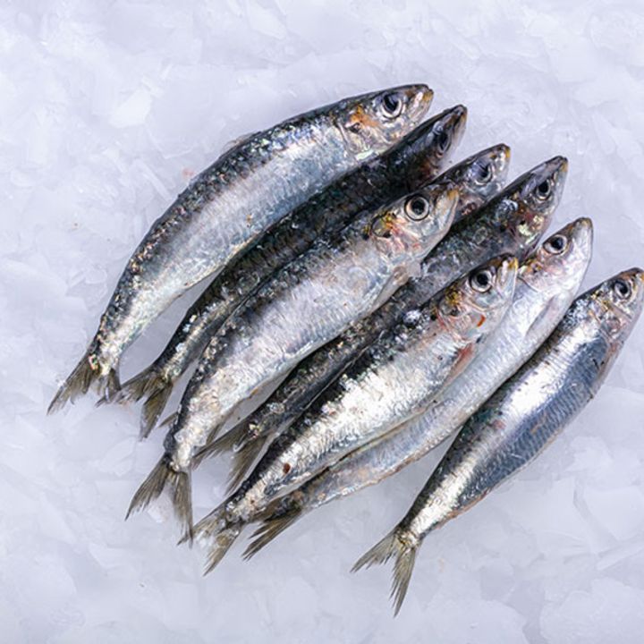 Several,Fresh,Sardines,In,Ice,At,A,Fishmonger's